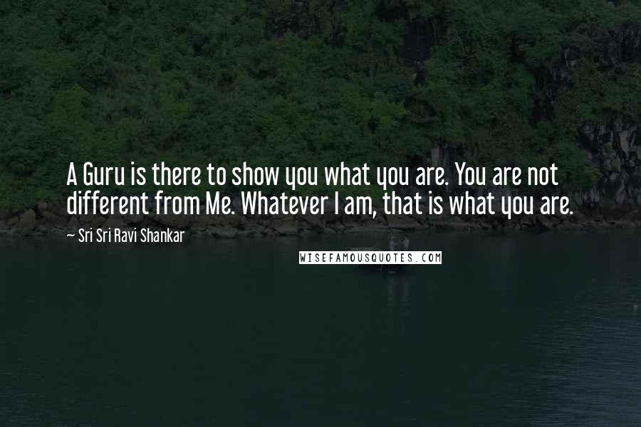 Sri Sri Ravi Shankar Quotes: A Guru is there to show you what you are. You are not different from Me. Whatever I am, that is what you are.