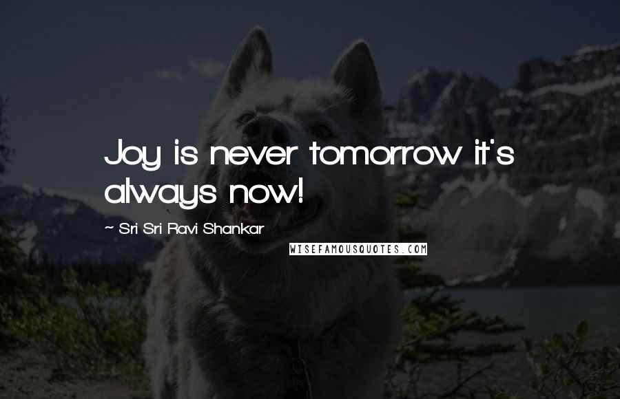 Sri Sri Ravi Shankar Quotes: Joy is never tomorrow it's always now!