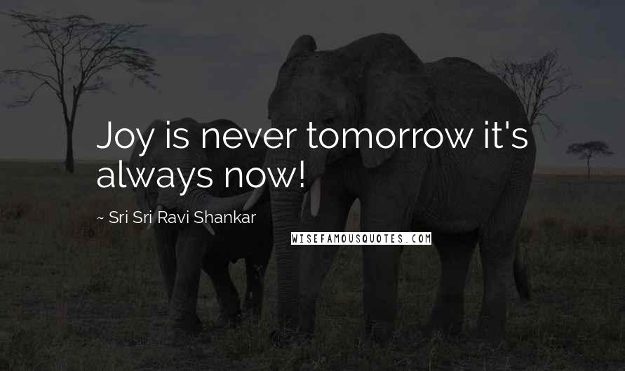 Sri Sri Ravi Shankar Quotes: Joy is never tomorrow it's always now!