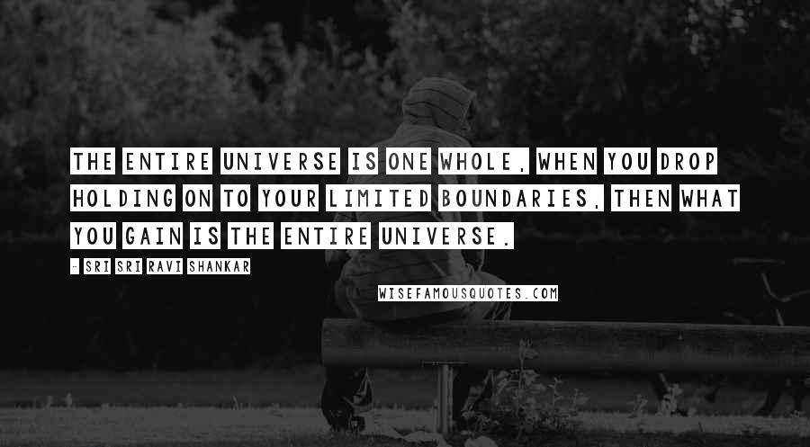 Sri Sri Ravi Shankar Quotes: The entire universe is one whole, when you drop holding on to your limited boundaries, then what you gain is the entire universe.