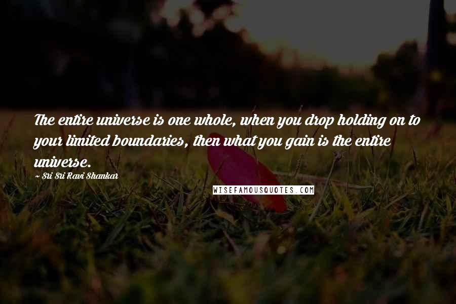 Sri Sri Ravi Shankar Quotes: The entire universe is one whole, when you drop holding on to your limited boundaries, then what you gain is the entire universe.