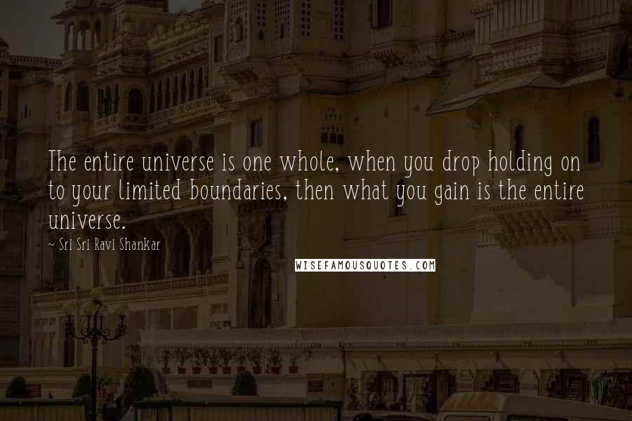 Sri Sri Ravi Shankar Quotes: The entire universe is one whole, when you drop holding on to your limited boundaries, then what you gain is the entire universe.