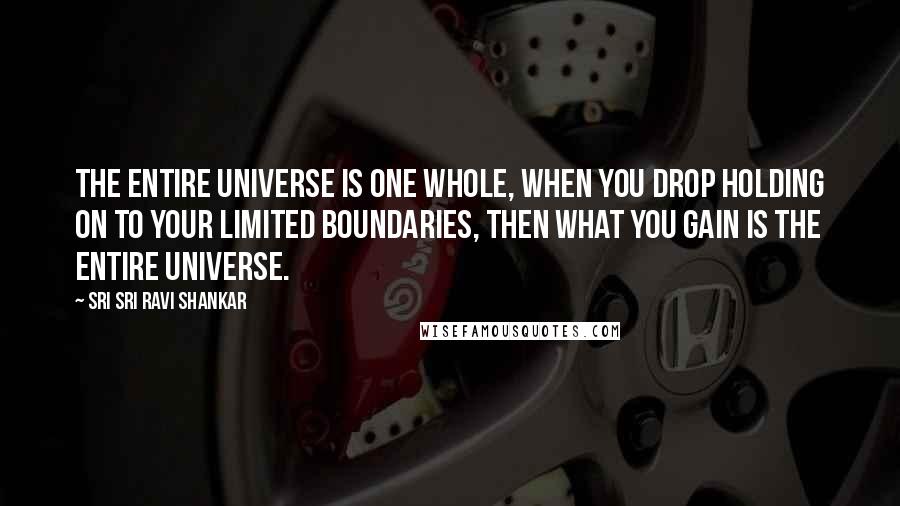 Sri Sri Ravi Shankar Quotes: The entire universe is one whole, when you drop holding on to your limited boundaries, then what you gain is the entire universe.