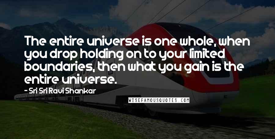 Sri Sri Ravi Shankar Quotes: The entire universe is one whole, when you drop holding on to your limited boundaries, then what you gain is the entire universe.