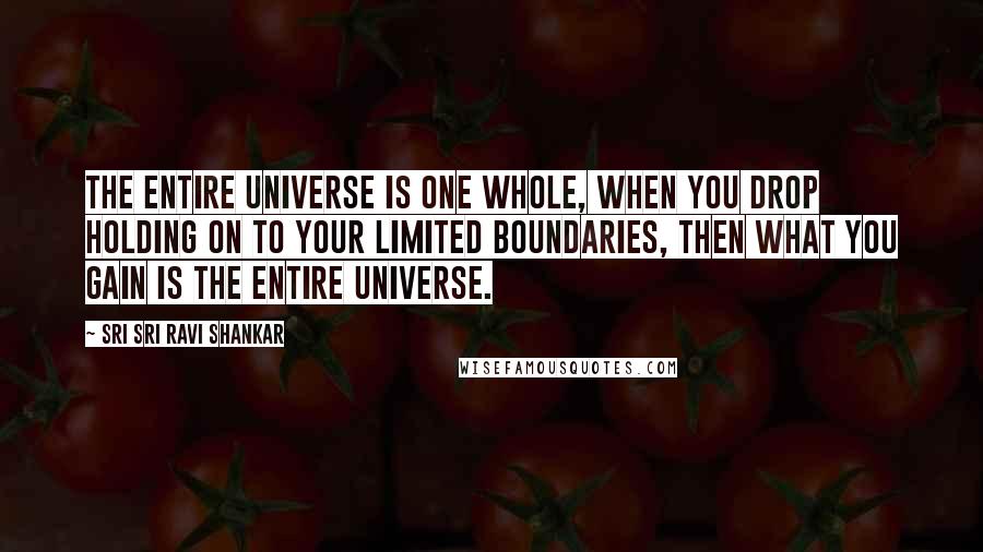 Sri Sri Ravi Shankar Quotes: The entire universe is one whole, when you drop holding on to your limited boundaries, then what you gain is the entire universe.