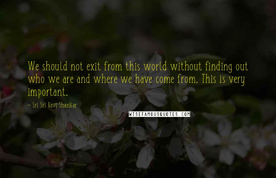 Sri Sri Ravi Shankar Quotes: We should not exit from this world without finding out who we are and where we have come from. This is very important.