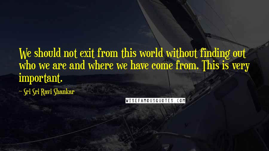 Sri Sri Ravi Shankar Quotes: We should not exit from this world without finding out who we are and where we have come from. This is very important.
