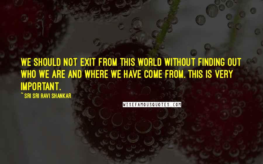 Sri Sri Ravi Shankar Quotes: We should not exit from this world without finding out who we are and where we have come from. This is very important.