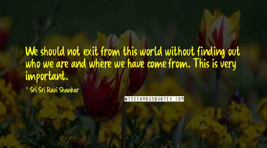 Sri Sri Ravi Shankar Quotes: We should not exit from this world without finding out who we are and where we have come from. This is very important.