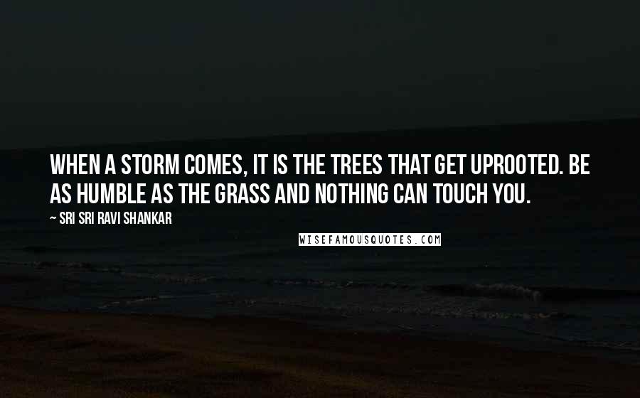 Sri Sri Ravi Shankar Quotes: When a storm comes, it is the trees that get uprooted. Be as humble as the grass and nothing can touch you.