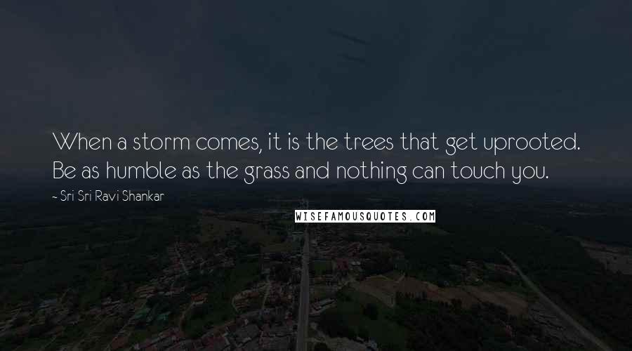Sri Sri Ravi Shankar Quotes: When a storm comes, it is the trees that get uprooted. Be as humble as the grass and nothing can touch you.