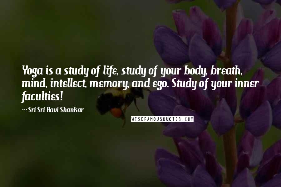 Sri Sri Ravi Shankar Quotes: Yoga is a study of life, study of your body, breath, mind, intellect, memory, and ego. Study of your inner faculties!