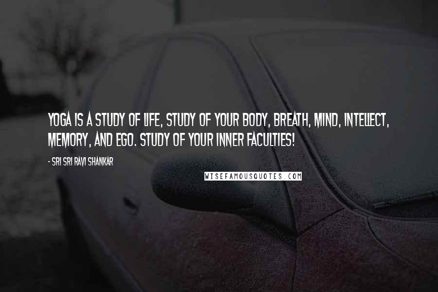 Sri Sri Ravi Shankar Quotes: Yoga is a study of life, study of your body, breath, mind, intellect, memory, and ego. Study of your inner faculties!