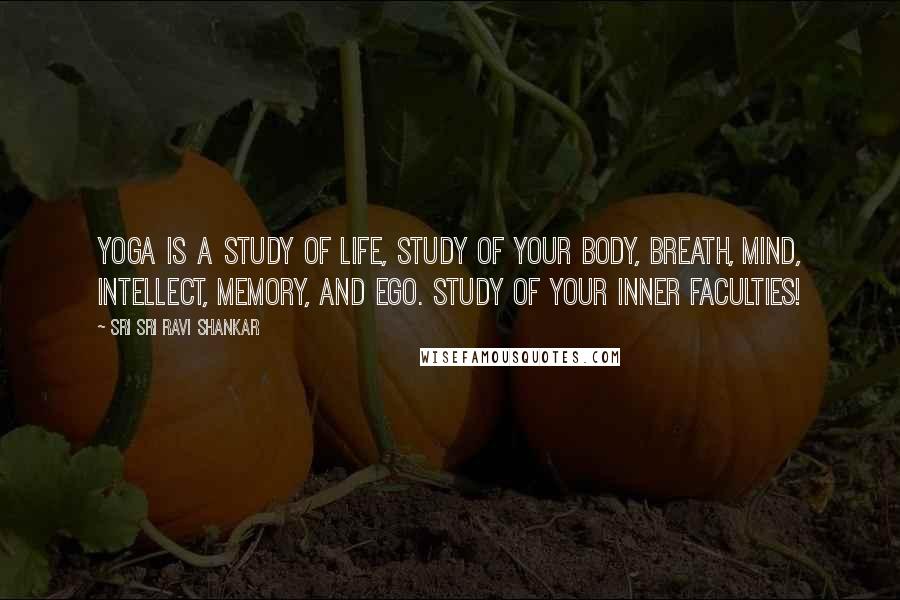 Sri Sri Ravi Shankar Quotes: Yoga is a study of life, study of your body, breath, mind, intellect, memory, and ego. Study of your inner faculties!