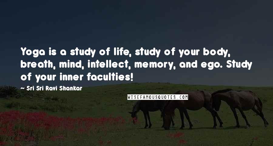 Sri Sri Ravi Shankar Quotes: Yoga is a study of life, study of your body, breath, mind, intellect, memory, and ego. Study of your inner faculties!