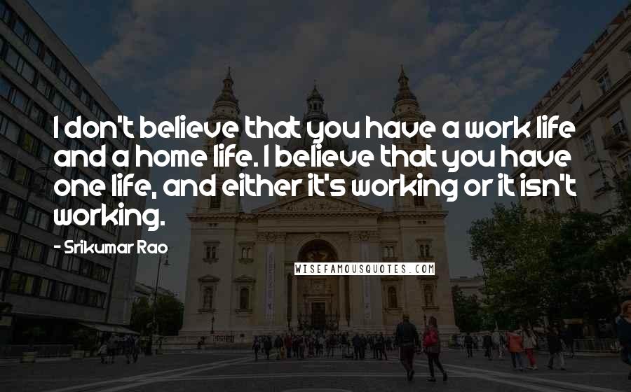 Srikumar Rao Quotes: I don't believe that you have a work life and a home life. I believe that you have one life, and either it's working or it isn't working.