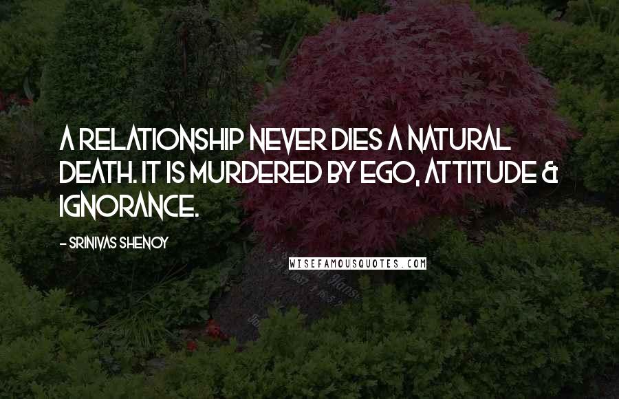 Srinivas Shenoy Quotes: A relationship never dies a natural death. It is murdered by ego, attitude & ignorance.