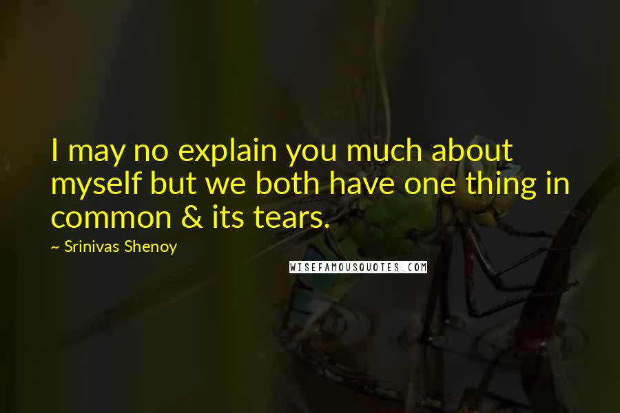 Srinivas Shenoy Quotes: I may no explain you much about myself but we both have one thing in common & its tears.