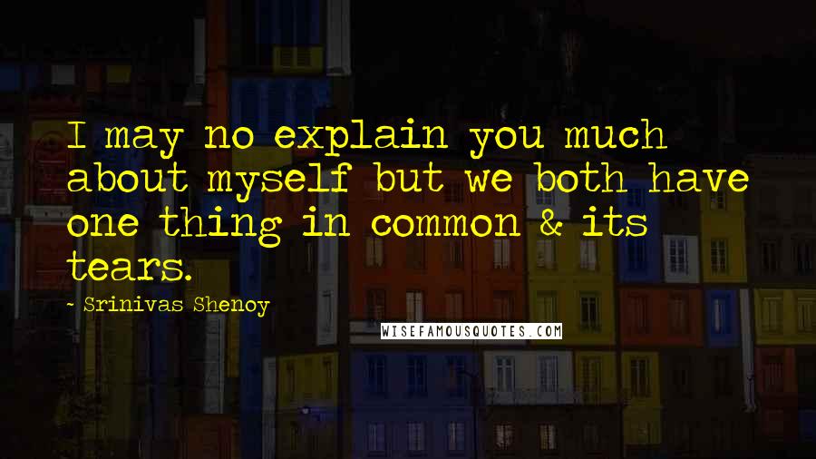 Srinivas Shenoy Quotes: I may no explain you much about myself but we both have one thing in common & its tears.