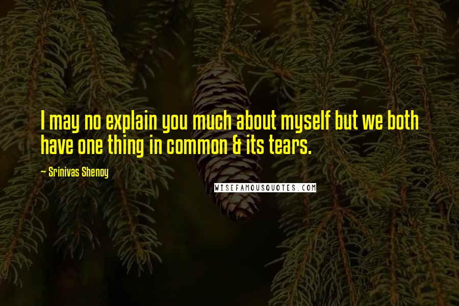 Srinivas Shenoy Quotes: I may no explain you much about myself but we both have one thing in common & its tears.