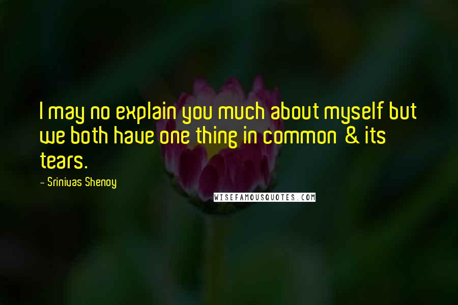 Srinivas Shenoy Quotes: I may no explain you much about myself but we both have one thing in common & its tears.