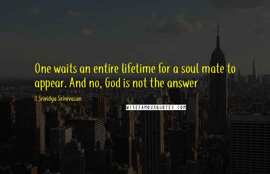 Srividya Srinivasan Quotes: One waits an entire lifetime for a soul mate to appear. And no, God is not the answer