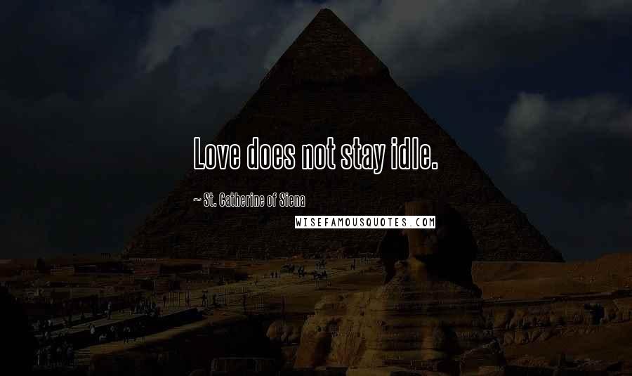 St. Catherine Of Siena Quotes: Love does not stay idle.