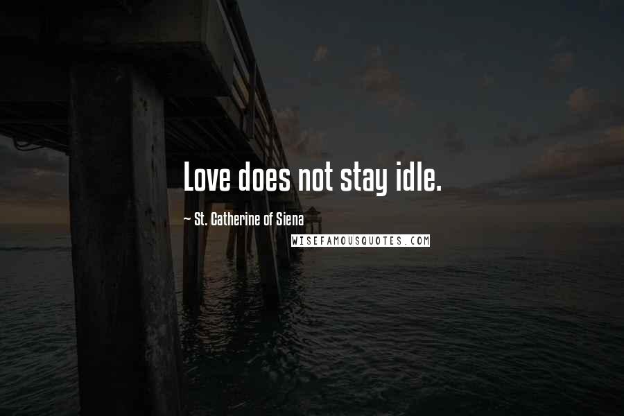 St. Catherine Of Siena Quotes: Love does not stay idle.