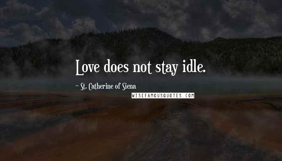 St. Catherine Of Siena Quotes: Love does not stay idle.