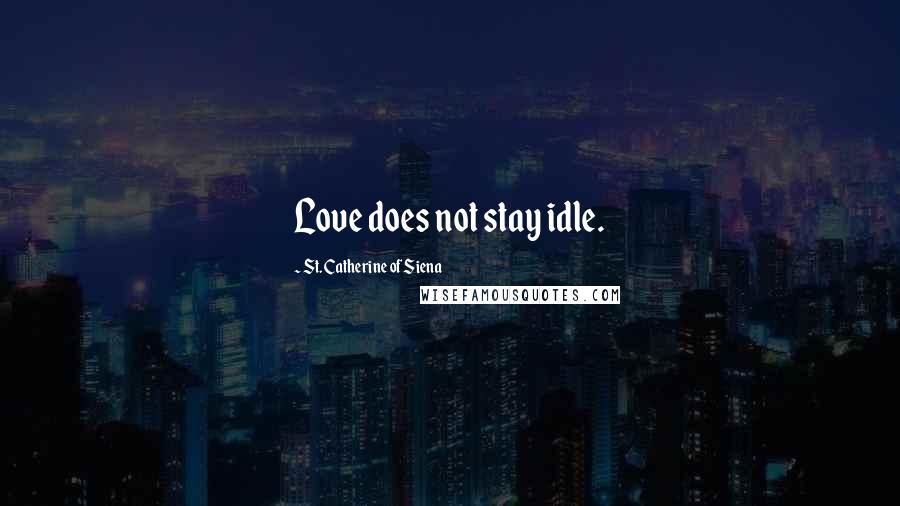 St. Catherine Of Siena Quotes: Love does not stay idle.