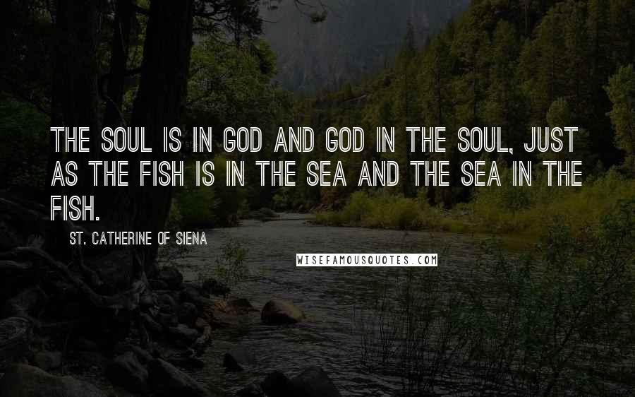 St. Catherine Of Siena Quotes: The soul is in God and God in the soul, just as the fish is in the sea and the sea in the fish.