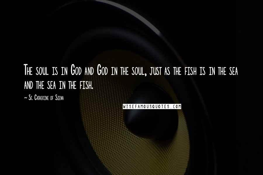 St. Catherine Of Siena Quotes: The soul is in God and God in the soul, just as the fish is in the sea and the sea in the fish.