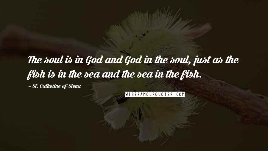 St. Catherine Of Siena Quotes: The soul is in God and God in the soul, just as the fish is in the sea and the sea in the fish.