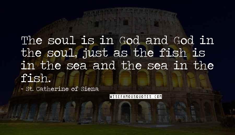 St. Catherine Of Siena Quotes: The soul is in God and God in the soul, just as the fish is in the sea and the sea in the fish.