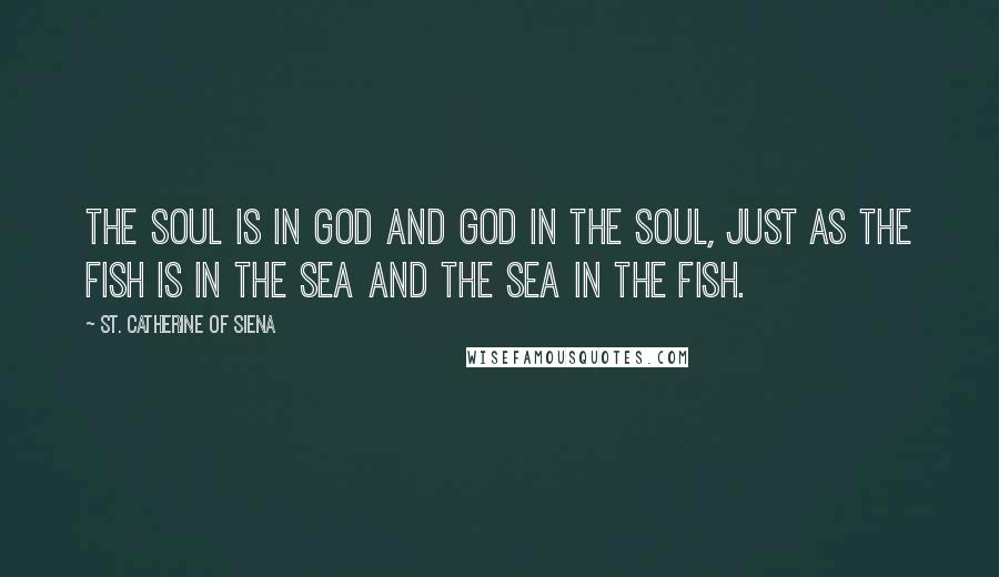 St. Catherine Of Siena Quotes: The soul is in God and God in the soul, just as the fish is in the sea and the sea in the fish.