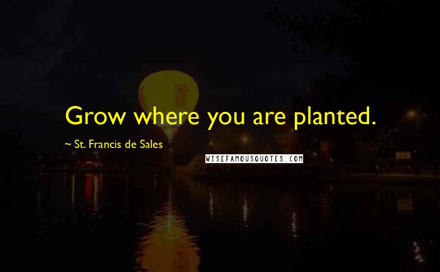 St. Francis De Sales Quotes: Grow where you are planted.