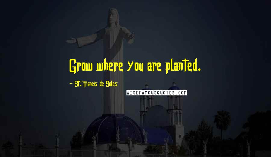 St. Francis De Sales Quotes: Grow where you are planted.