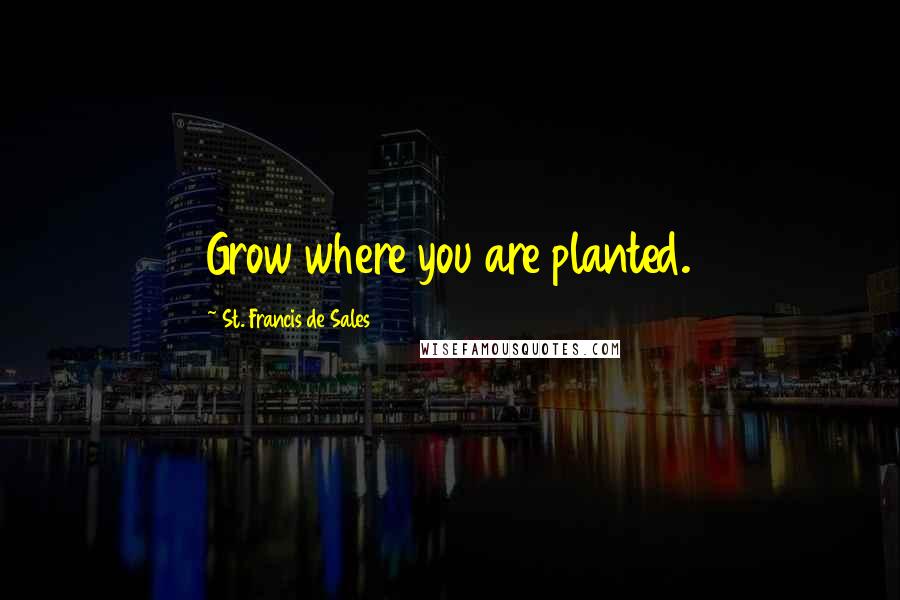 St. Francis De Sales Quotes: Grow where you are planted.