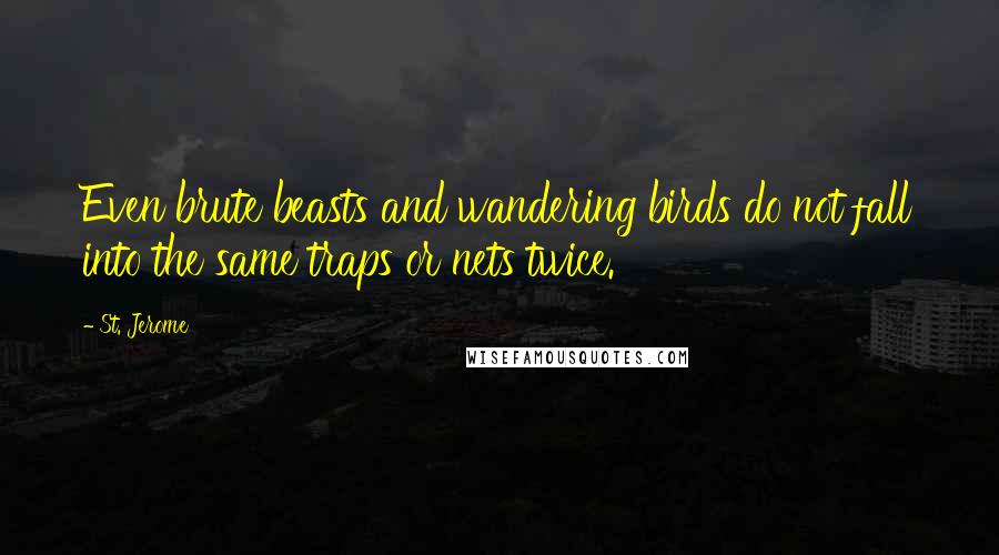 St. Jerome Quotes: Even brute beasts and wandering birds do not fall into the same traps or nets twice.