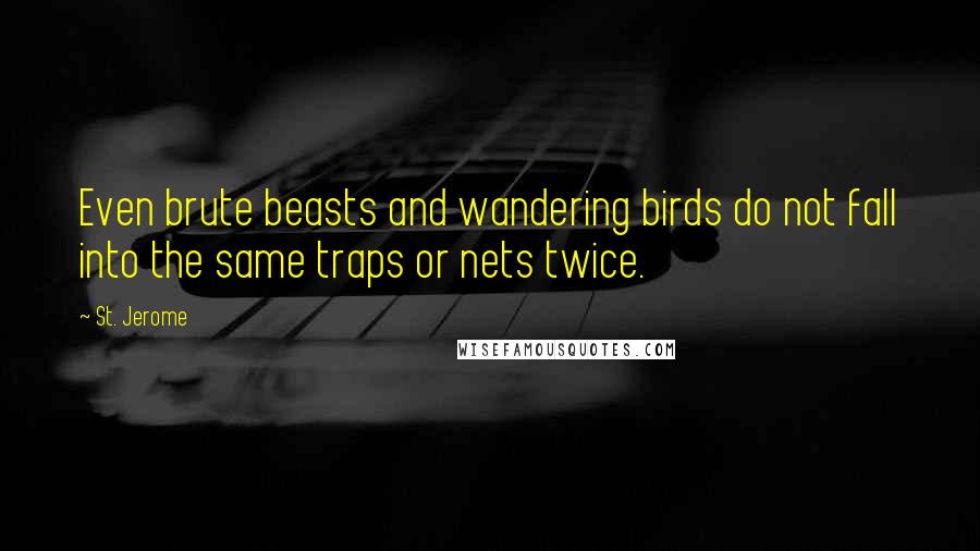 St. Jerome Quotes: Even brute beasts and wandering birds do not fall into the same traps or nets twice.