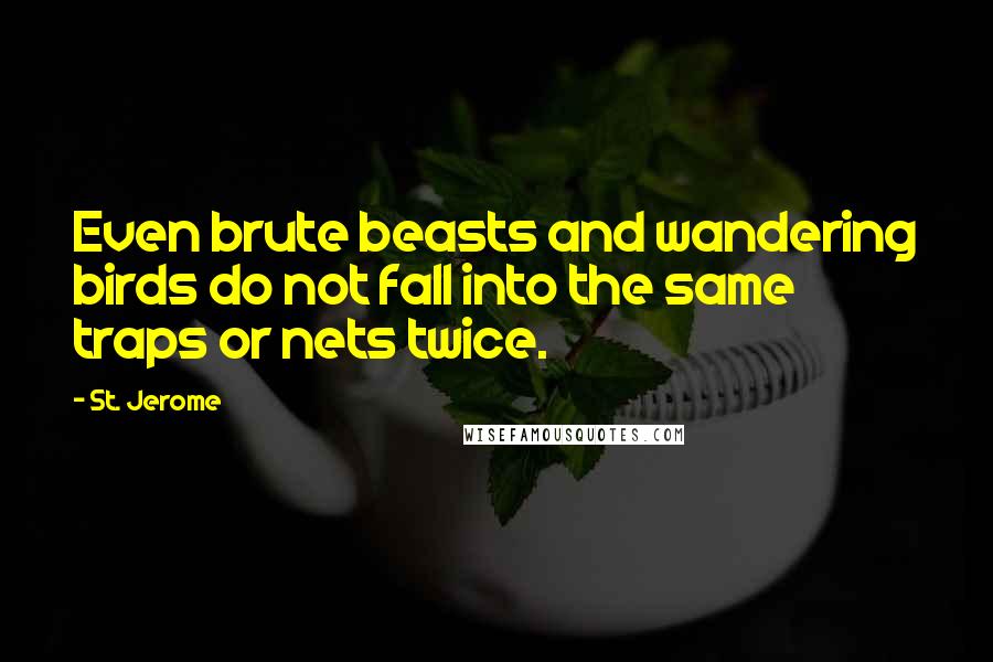 St. Jerome Quotes: Even brute beasts and wandering birds do not fall into the same traps or nets twice.