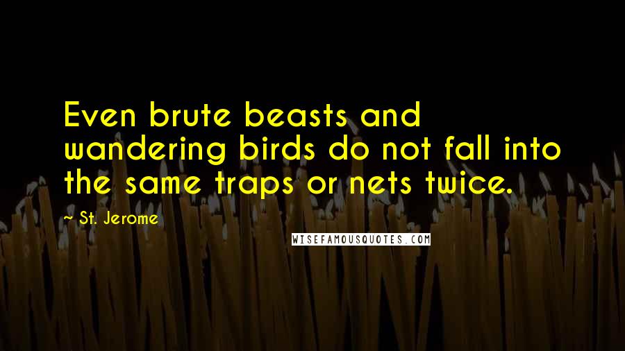 St. Jerome Quotes: Even brute beasts and wandering birds do not fall into the same traps or nets twice.