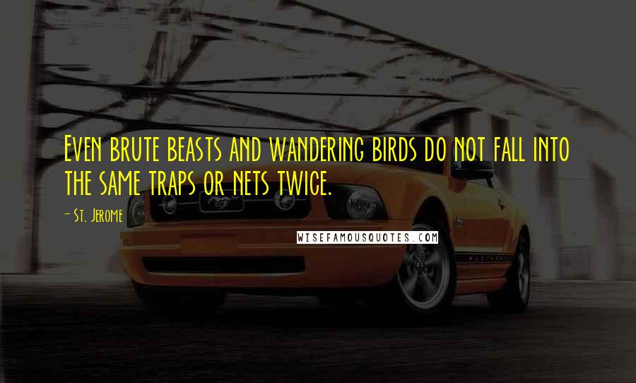 St. Jerome Quotes: Even brute beasts and wandering birds do not fall into the same traps or nets twice.