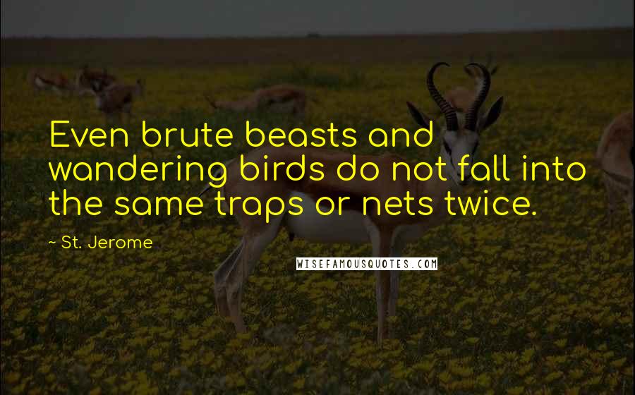 St. Jerome Quotes: Even brute beasts and wandering birds do not fall into the same traps or nets twice.