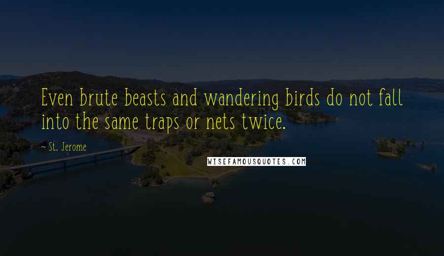 St. Jerome Quotes: Even brute beasts and wandering birds do not fall into the same traps or nets twice.