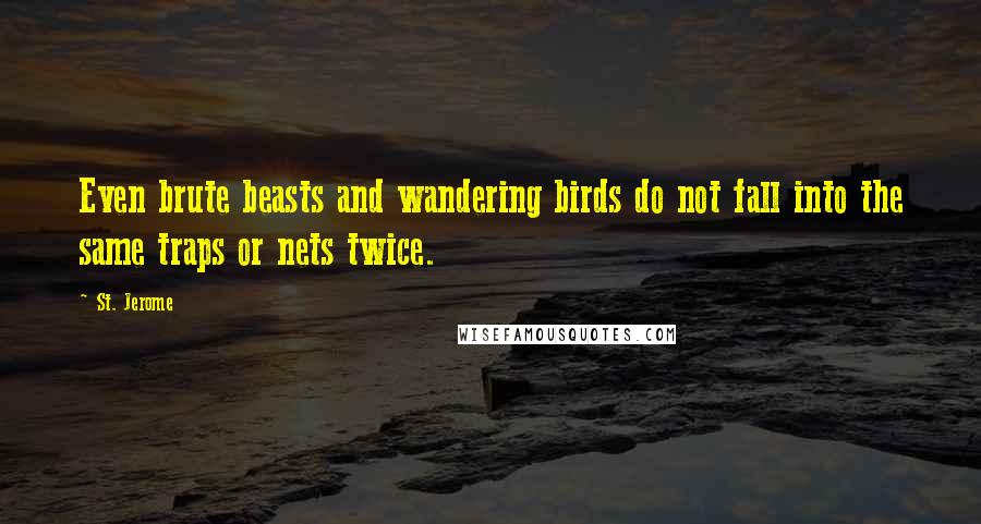 St. Jerome Quotes: Even brute beasts and wandering birds do not fall into the same traps or nets twice.