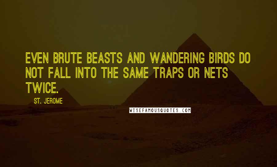 St. Jerome Quotes: Even brute beasts and wandering birds do not fall into the same traps or nets twice.
