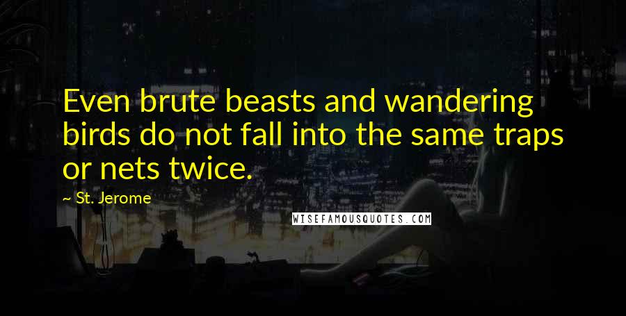 St. Jerome Quotes: Even brute beasts and wandering birds do not fall into the same traps or nets twice.