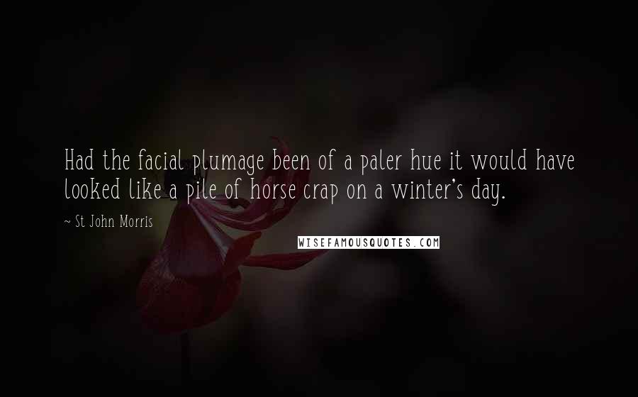 St John Morris Quotes: Had the facial plumage been of a paler hue it would have looked like a pile of horse crap on a winter's day.