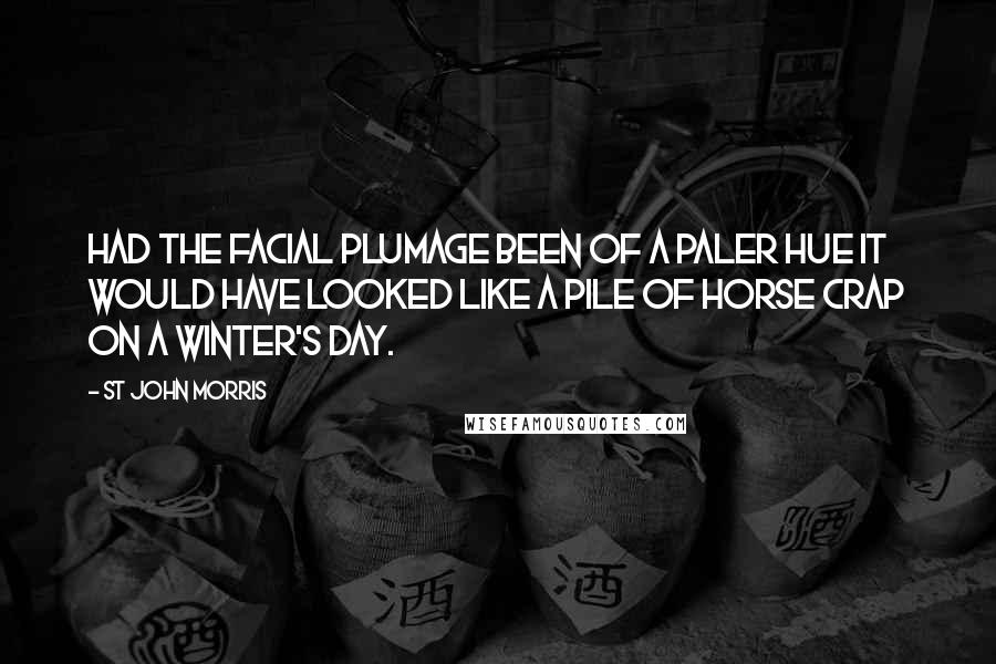 St John Morris Quotes: Had the facial plumage been of a paler hue it would have looked like a pile of horse crap on a winter's day.